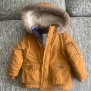Winter Coat